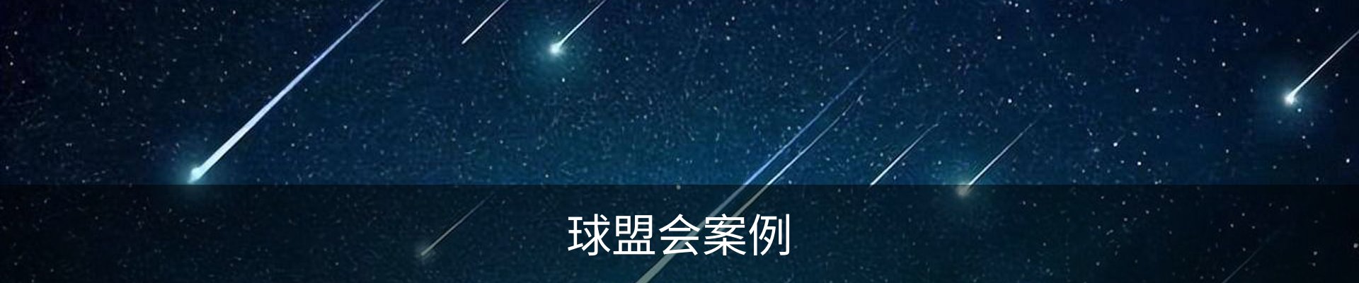 球盟会案例